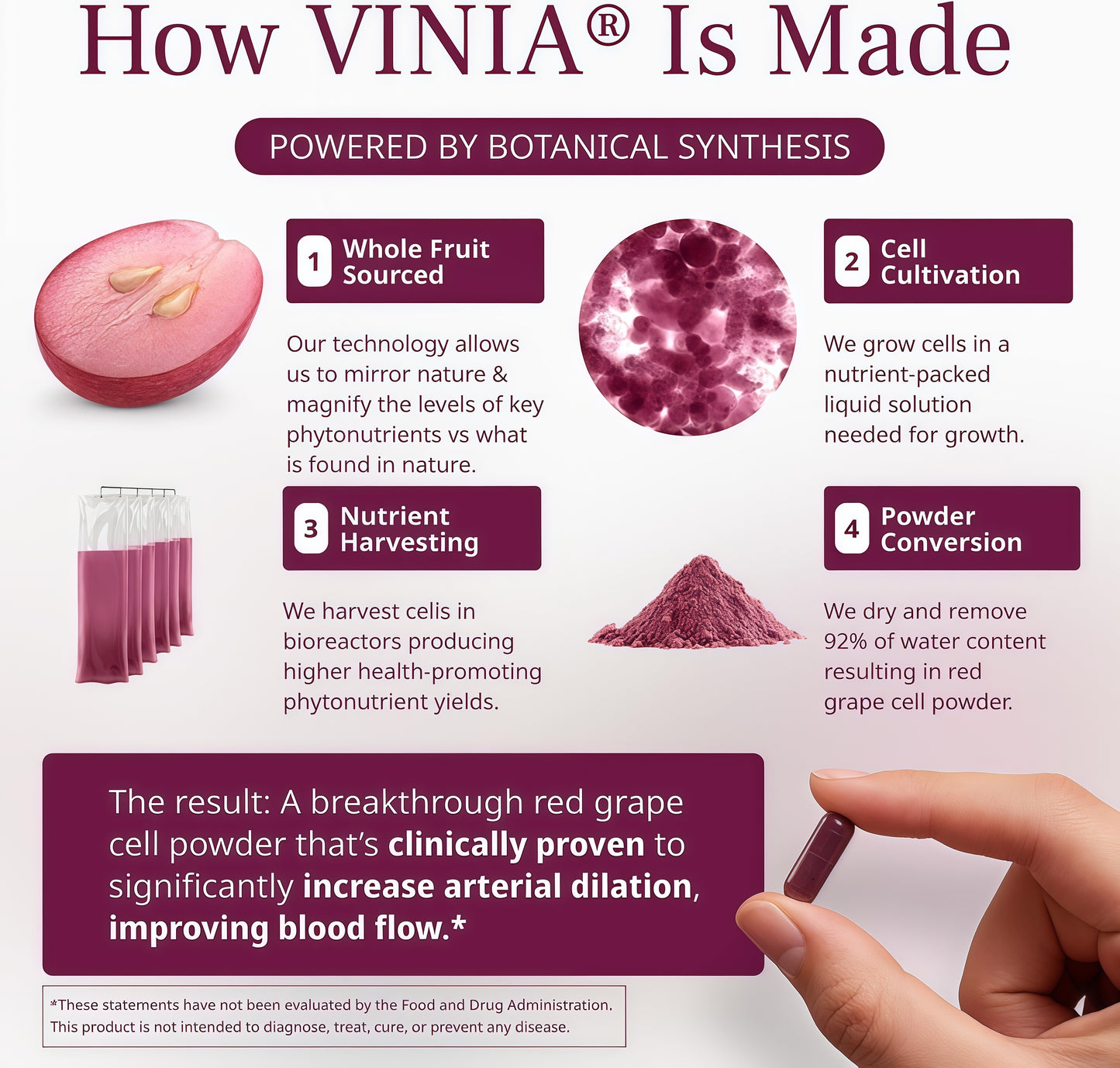 VINIA Blood Flow | Piceid Resveratrol Capsules | Vegan, Non-GMO, 30 Count Heart Health | Healthy Blood Pressure Support* | Nitric Oxide Production | Red Grape Antioxidant Supplement